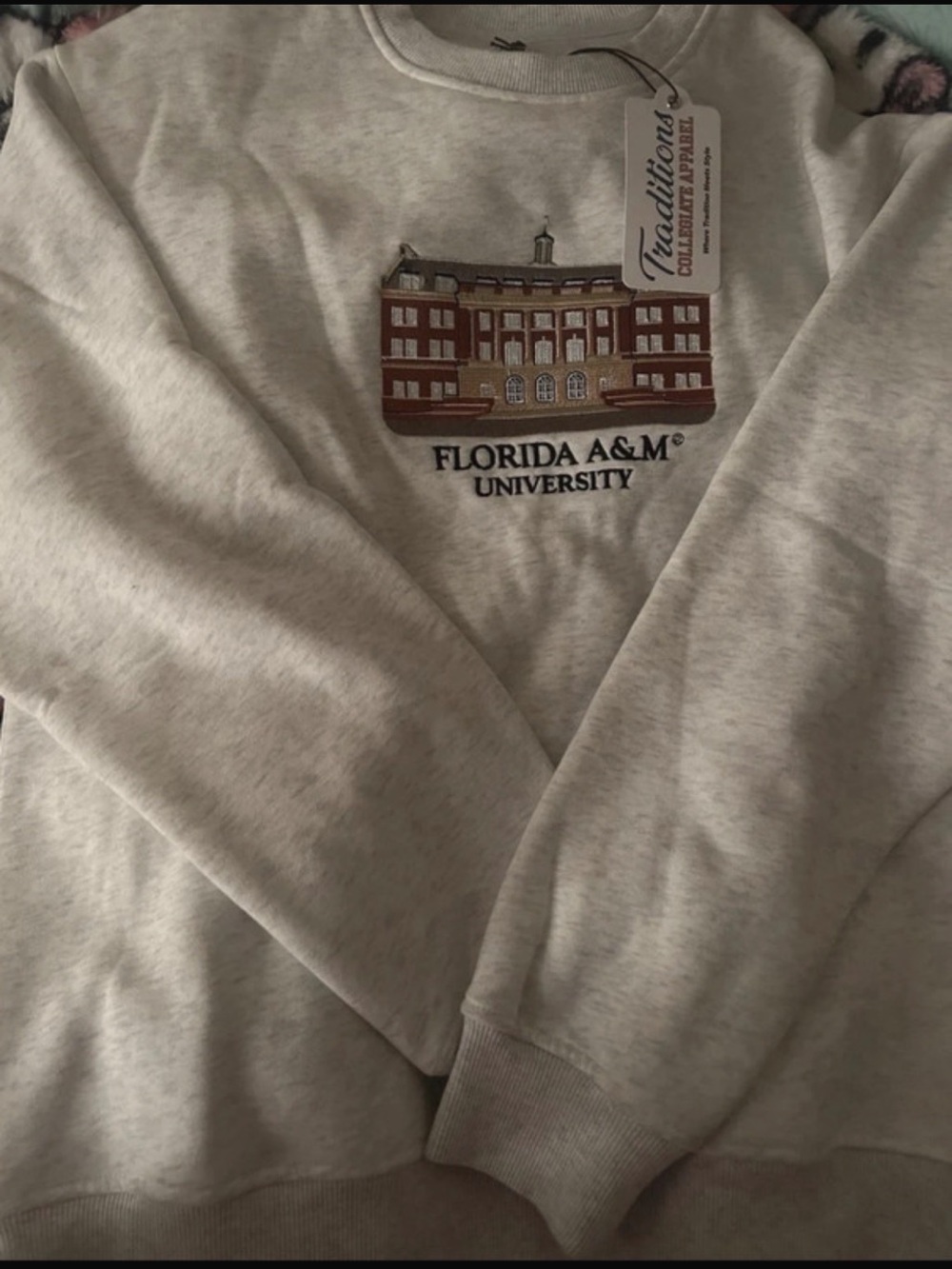 Florida A&M University Mens Crewneck Sweatshirt - Light Gray